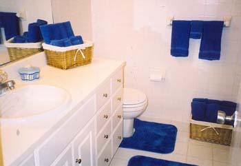 dd_bathroom